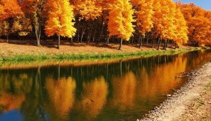 Wonderful autumn landscape. Nature in orange tones.
