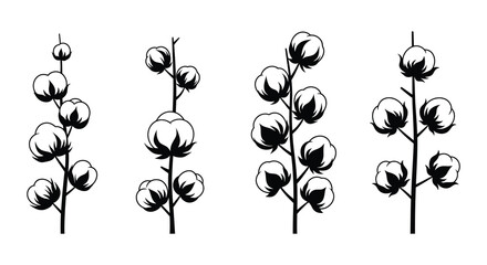 A set of four black and white cotton plant illustrations with bolls and stems