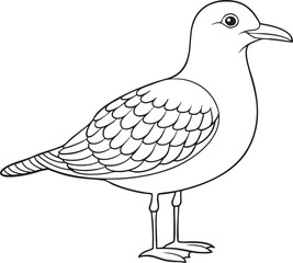 Seagull outline illustration in black and white featuring standing bird with detailed feathers perfect for coloring activities