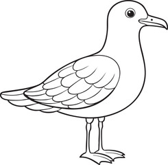 Seagull line art drawing in black and white style featuring standing bird with feathers perfect for coloring books and education