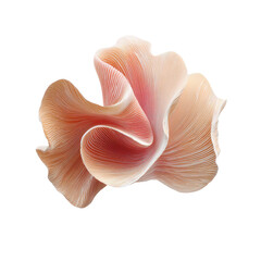 Abstract coral-like form in pale peach and rose tones, with intricate, flowing, overlapping layers