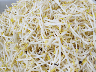 A bountiful display of fresh, white bean sprouts are piled high in a large bin, available for sale...