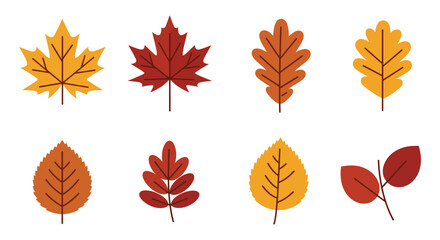 A collection of colorful autumn leaves in various shapes and sizes on white background