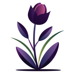 Vibrant Red Tulip Plant Vector Illustration on white background