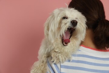 Happy teenage girl with Maltese dog on pink background, back view. Space for text