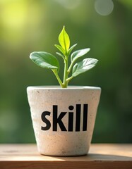 Young plant growing in pot labeled skill. Concept for personal development, learning, nurturing talents for growth and self-improvement. Achieve professional or personal goals, career success.