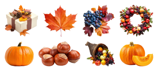 PNG Autumn harvest decorations collection, element set on transparent background