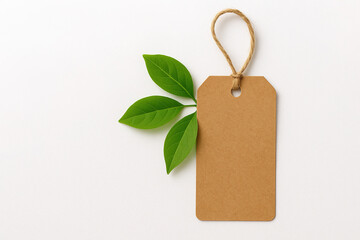 Minimalist eco design featuring a blank brown kraft paper tag with green leaves on a clean white background. Perfect for branding, packaging, labels, or eco-friendly product presentations.