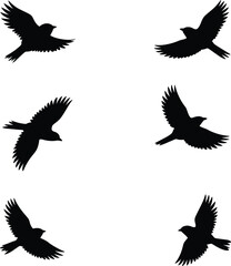Flying bird silhouette vector, black bird clipart, birds in flight, wildlife design element, nature icon set, SVG illustration