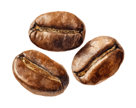 Three coffee beans arranged in a loose, overlapping cluster, showcasing their nuanced brown hues and prominent grooves. 