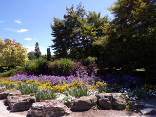 Summer park's landscape with trees and flower beds