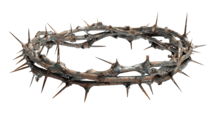 Detailed close-up of a crown of thorns, showing intricate,  spiky design.  The thorns appear aged, with a muted brown and rusty color, against a black background