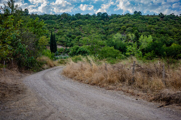 Curving dirt road surrounded by dry grass and dense greenery in Başiskele, Kocaeli, Türkiye,...