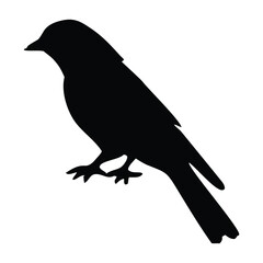 Perched Crow Raven Silhouette Vector – Black Bird Outline