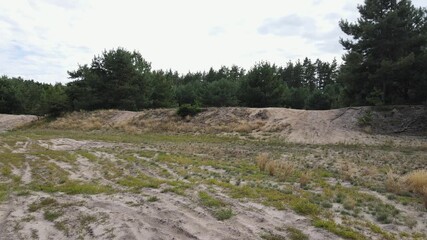 A drone flies low above a sandy clearing with sparse grass, then ascends to reveal a surrounding dense pine forest. Smooth transition from ground to treetop level provides cinematic perspective.