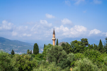 Minaret of Mosque Rising Above Green Trees with Mountains in Background