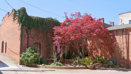 Rustic brick building with a Peaceful Courtyard and American flag with a vibrant red maple in Madison, Georgia, USA