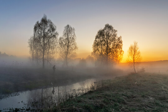 Sun rays shine through a tree in the fog with man on background