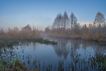 spring misty morning on the lake with reflections trees in water