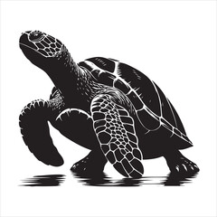 Fototapeta premium Silhouette vector of a turtle standing on a white background