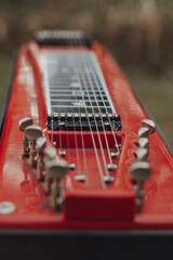 Red Steel Guitar