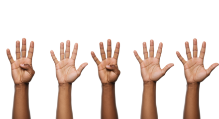 Five distinct human hands, diverse skin tones, well-groomed, sequentially display one to five fingers on a brilliant white studio background, ample copy space. Concept of progress and options