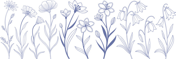 Hand-drawn wildflower illustration with delicate line art blooms and graceful stems. Elegant botanical sketch ideal for patterns, wallpapers, and decorative spring designs. Minimal vintage floral 