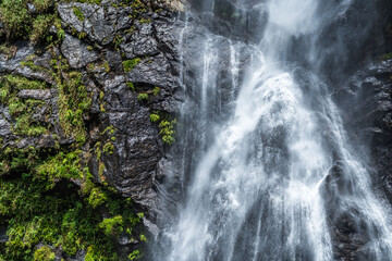 Beautiful waterfall in a tropical rainforest in a magical environment. Silk effect water in long exposure in the colombian jungles