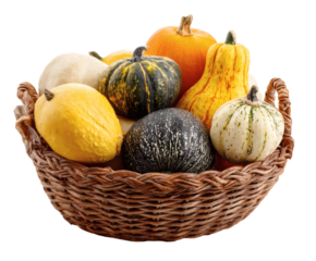 A beautiful arrangement of colorful gourds in a rustic woven basket during autumn season.