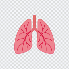 Illustration of Human Lungs with Bronchi and Blood Vessels