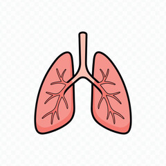 Cartoon Illustration of Human Lungs with Bronchi and Airways