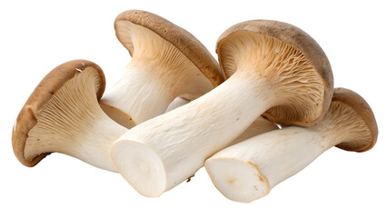 Fototapeta premium King oyster mushrooms cut out isolated on white background PNG. AI GENERATED.