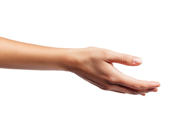 Close-up of a light-skinned human arm and hand, open and extended