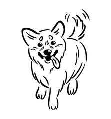 A vector illustration showcasing a joyful Corgi running. The playful dog expressive face and wagging tail radiate happiness, capturing the essence of canine delight.