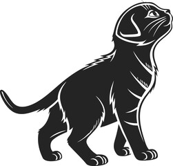 Elegant Scottish Fold Kitten Silhouette Standing Cute Pet Cat Vector Illustration, Scottish Fold Kitten Silhouette, Standing Cat Outline Vector, Cute Kitten Shadow Illustration