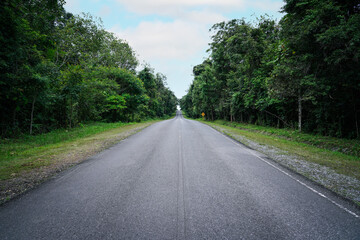 Concrete roadway through a green nature park with trees in the forest, Khao Yai National Park, Thailand.