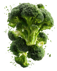 Vibrant head of broccoli, close-up