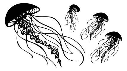 Stylized black silhouette of four jellyfish with long tentacles floating gracefully on white background © md razab 1122