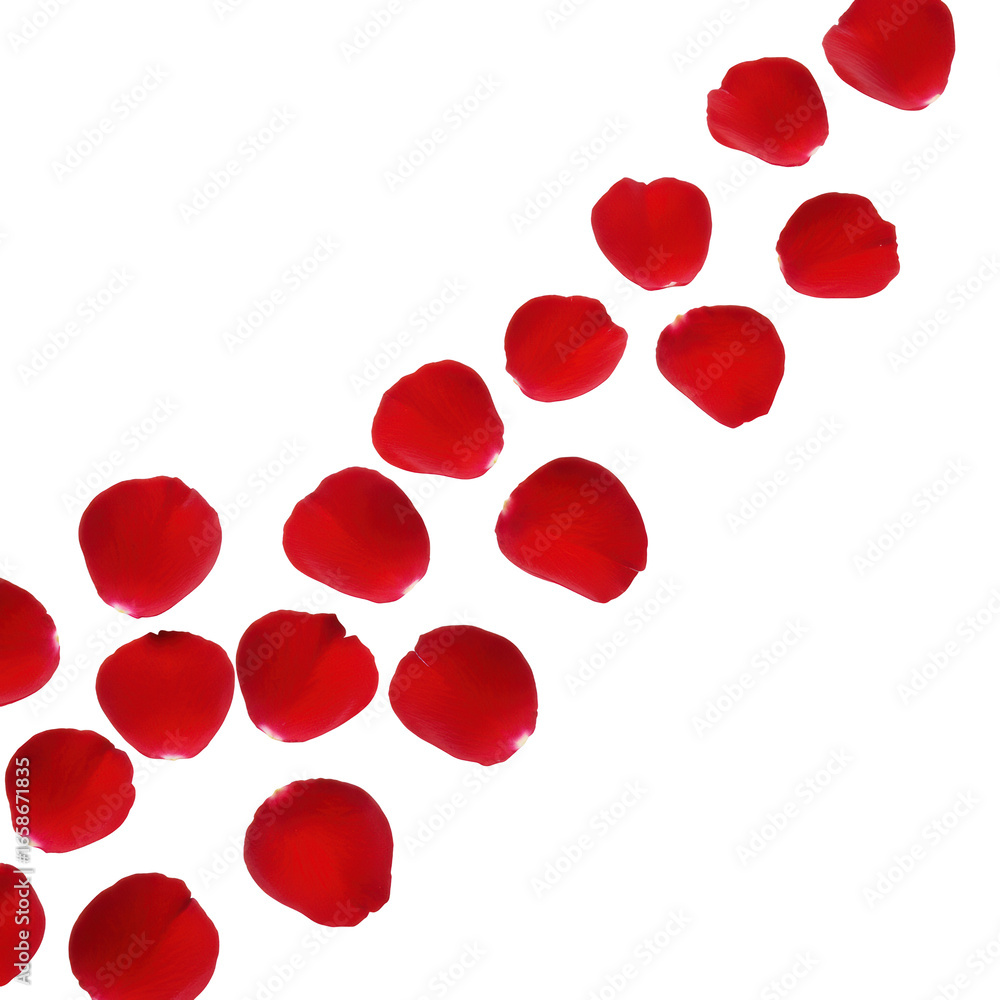 Poster vibrant red rose petals, pristine and layered in a refined pattern, captured flat lay with macro len