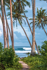 Surfers on Siargao, Philippines,
Girls surfers, ocean, beach vibes, palm trees
