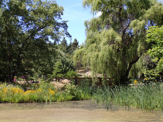 Summer park's landscape with trees and flower beds