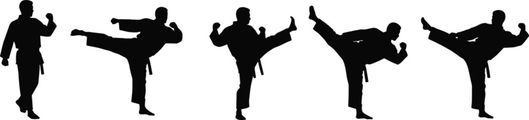 Martial arts fighter silhouette training, karate kick poses, taekwondo practice sequence, self-defense combat moves, black belt athlete vector illustration design