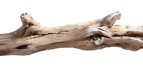 Fototapeta premium Weathered driftwood branch with unique texture and detail on black background Concept of nature, organic material, and coastal decor
