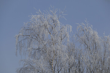 Paysage enneigé - Snowy landscape
Paysage enneigé - Snowy landscape
