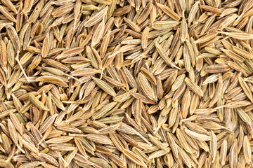 Cumin seeds background texture. Cuminum cyminum