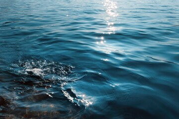 Obraz premium Smooth lake water reflecting sunlight creates a tranquil setting amidst simple nature in a peaceful outdoor location