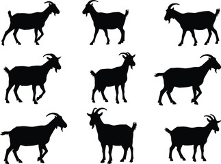 goat silhouette set, farm animal vector illustration, livestock black shape, countryside agriculture artwork, rustic goat graphic design