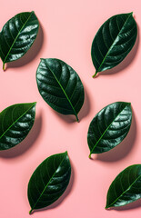 High saturation tropical leaves create vibrant contrast against soft pink background