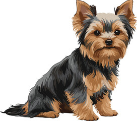 Yorkshire Terrier Puppy with Hair Tie, Cute Sitting Dog Illustration, Realistic Pet Clipart, Adorable Yorkie Art on White Background