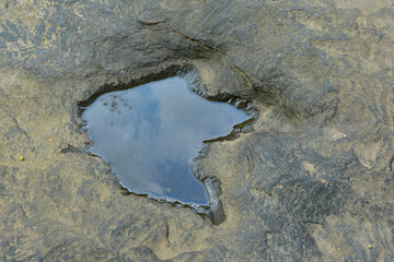 Dinosaur footprints on rocks